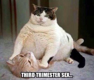 thirdtrimestersex