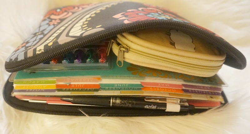 Erin Condren Carry All Clutch VS Thirty One Zipper Pouch