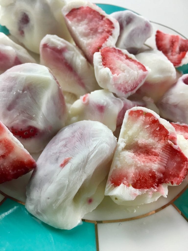 Homemade Yogurt Bites