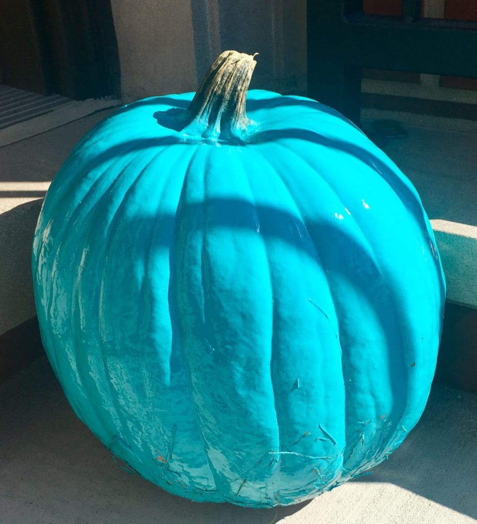 Teal Pumpkin Ideas