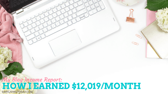 my blog income report banner