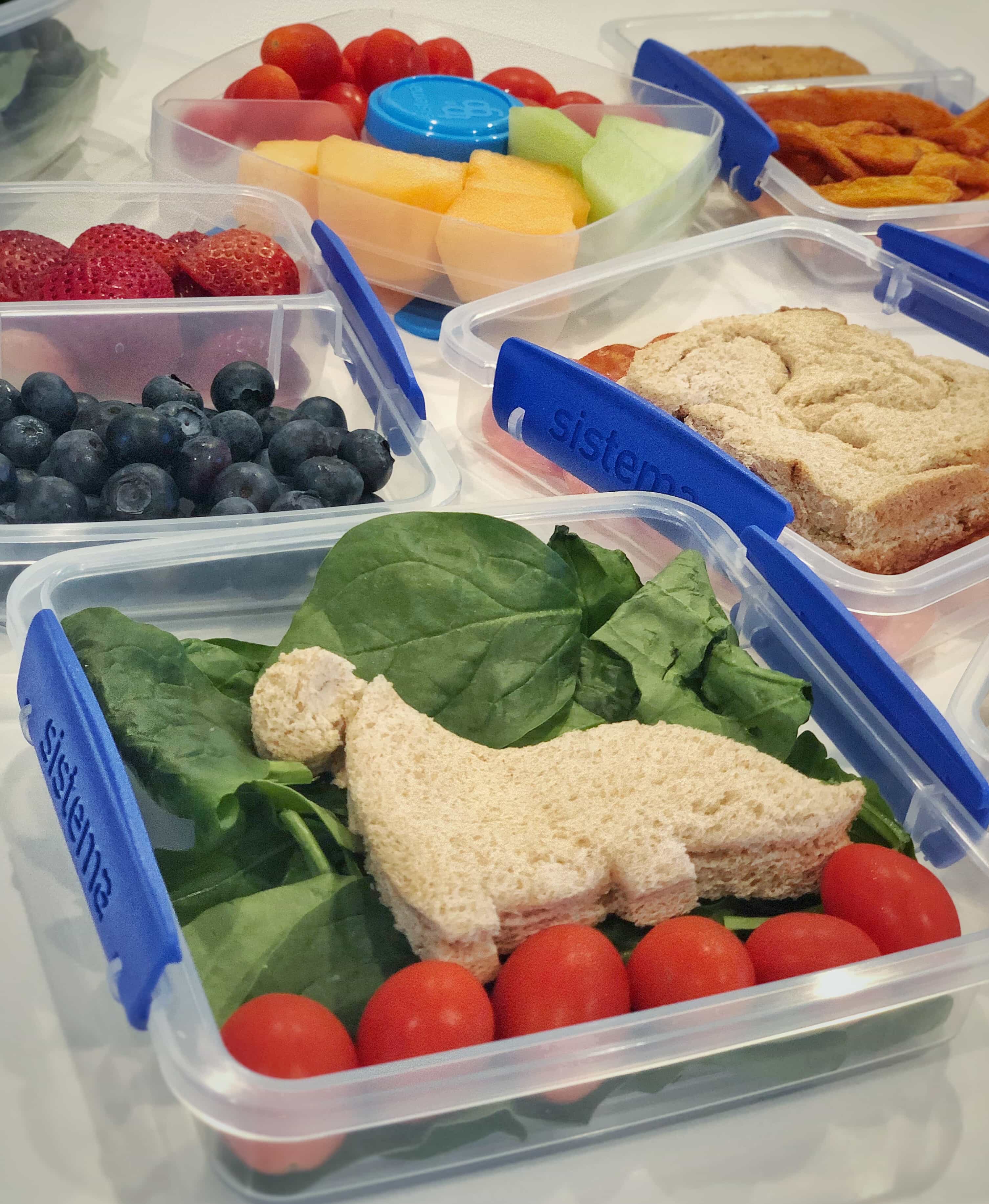 Kids Healthy Eating sistema to go containers