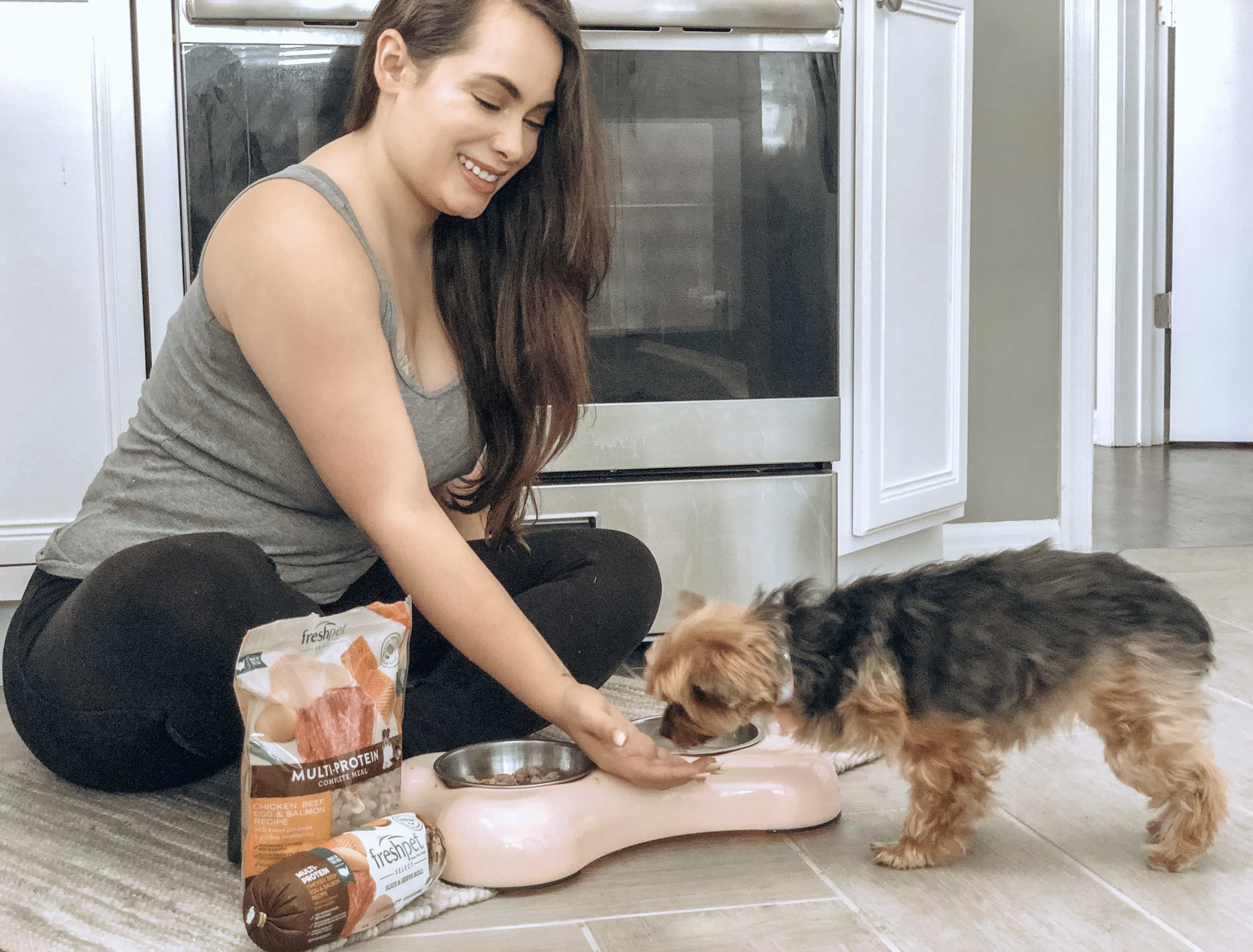 How to Get Your Picky Dog to Eat Healthy 2