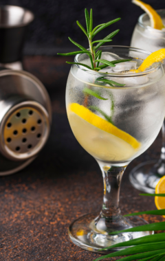 best keto gin drinks