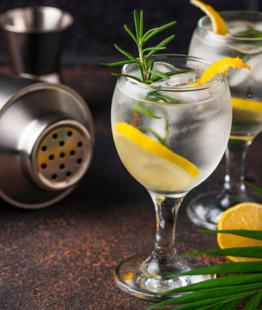 best keto gin drinks