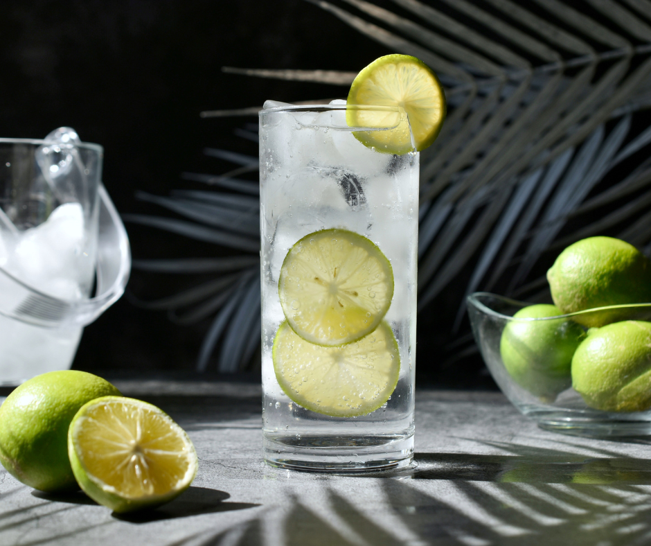 keto gin tonic